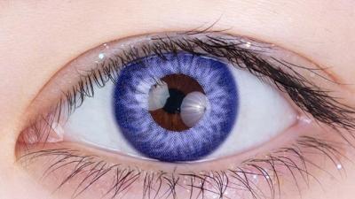 アイオライト 装用画像