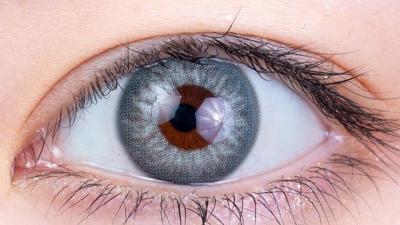 クリスタル 装用画像