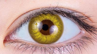 シトリン 装用画像