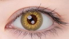 エティアレオーヴワンデー ヘリオドール 装用画像