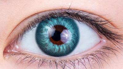 ジェード 装用画像