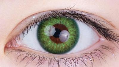 ネフライト 装用画像