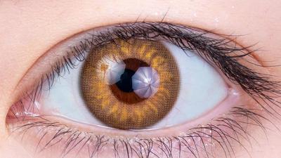 ルチル 装用画像