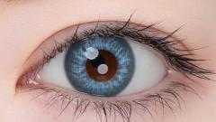 エティアレオーヴワンデー トパーズ 装用画像