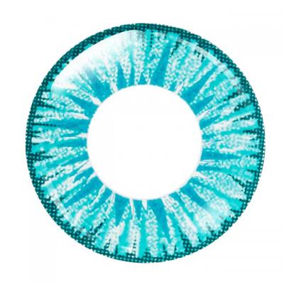 アース レンズ画像