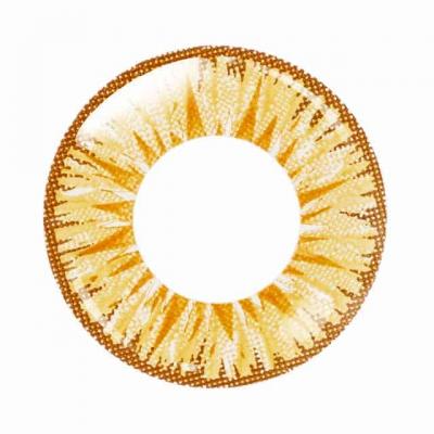 レオ レンズ画像