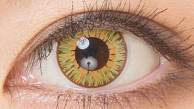 ポラリス 装用画像