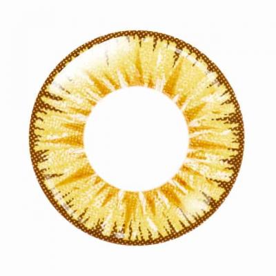 ポラリス レンズ画像