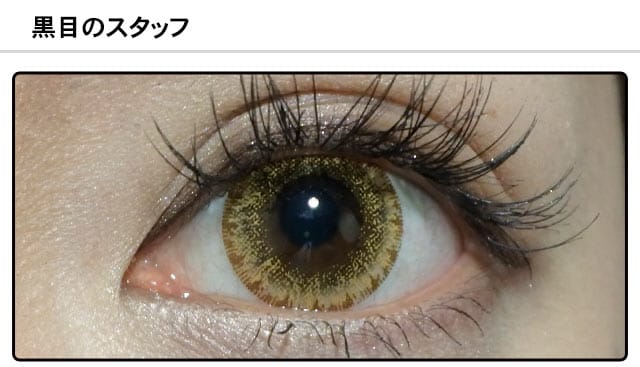 スタッフ0の装着画像