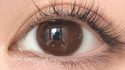 ブラウン 装用画像