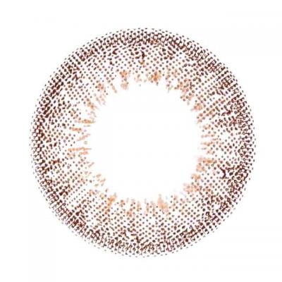 リッチブラウン レンズ画像