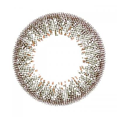 リッチオリーブ レンズ画像