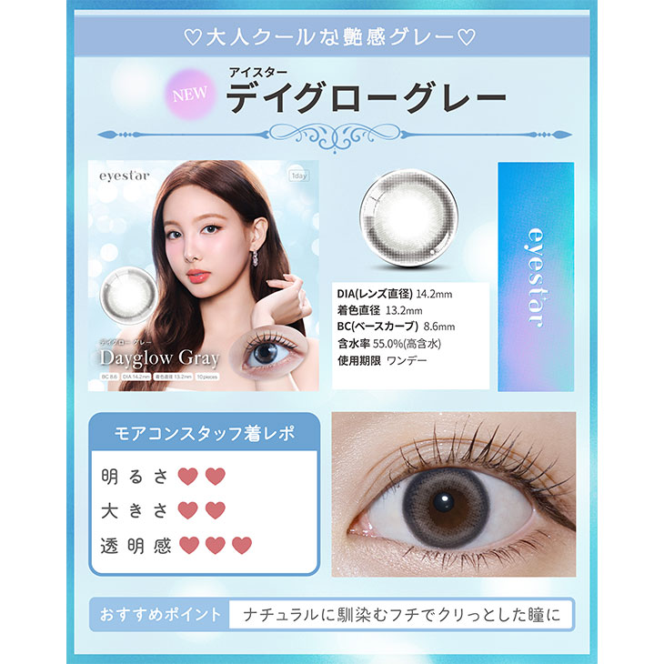 アイスター デイグローグレー(5)