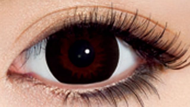 度なしフェアリーNatural ブラック