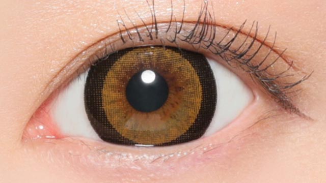 鈴木愛理イメージモデルの度あり度なし1ヶ月ファビュラス No.3ブラウンの装用画像