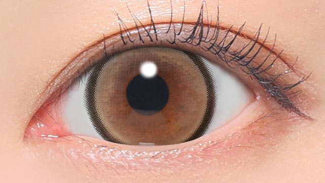 メロブラウン装用画像