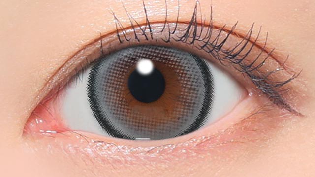 メログレー装用画像