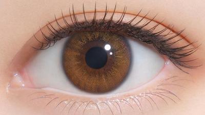 シークレットチュチュブラウン 装用画像