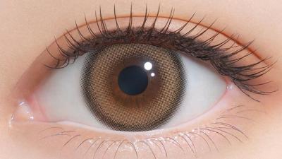 ホイップブラウン 装用画像