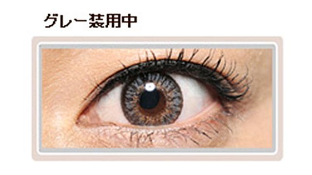 フレッシュルックデイリーズグレー 装用画像