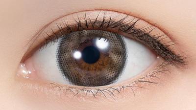 アーモンドプードル 装用画像