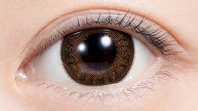 チェスナット 装用画像