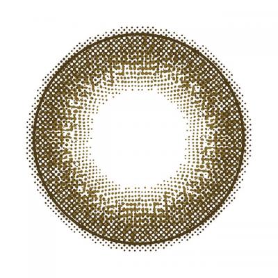 チェスナット レンズ画像