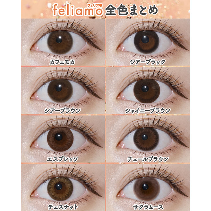 フェリアモ チュールブラウン(7)