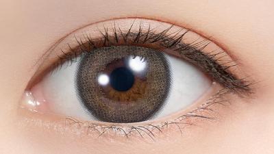 アーモンドプードル 装用画像