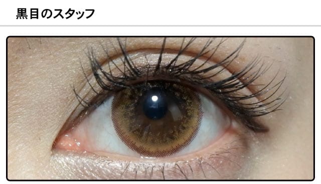 スタッフ0の装着画像