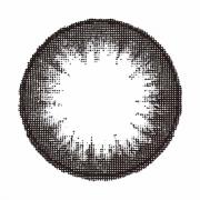 フラワーアイズロータスブラック