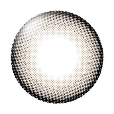 ホソ レンズ画像
