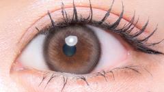 フルーリー リングラージブラウン(ぱちくりベアー) 明日花キララ 装用画像