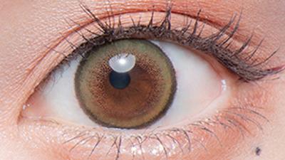 ライトカーキブラウン(もっと褒められパンダ) 装用画像