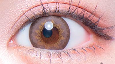 パールライトブラウン(もっとぽんぽこたぬき) 装用画像