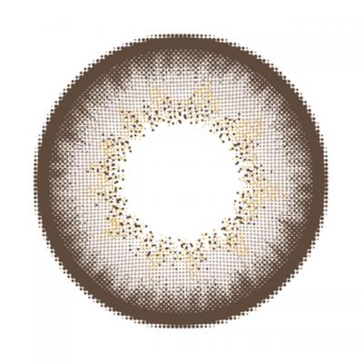 パールライトブラウン(もっとぽんぽこたぬき) レンズ画像