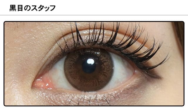 スタッフ0の装着画像
