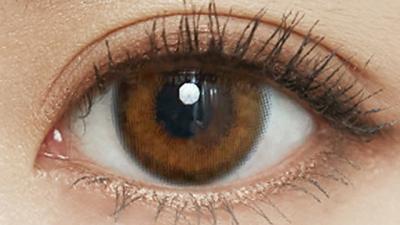 ジェムブラウン 装用画像