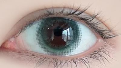 フォレストオリーブ 装用画像