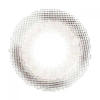 ミックスグレー レンズ画像