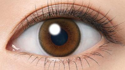 ハニーペアー 装用画像