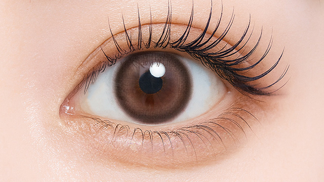 フェユナワンデーモイスティン ブレニーブラウン(2)