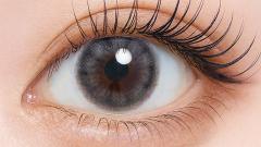 フェユナワンデーモイスティン エリスグレー