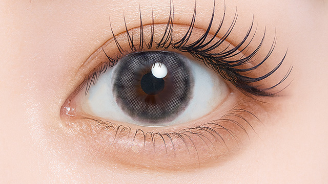 フェユナワンデーモイスティン エリスグレー(2)