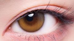 ギャルネバーダイ マンスリー ビーマイン ちゃんみな 装用画像