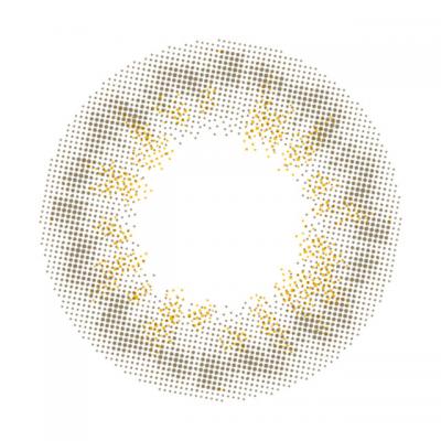 カモミール レンズ画像