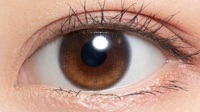 プディング 装用画像