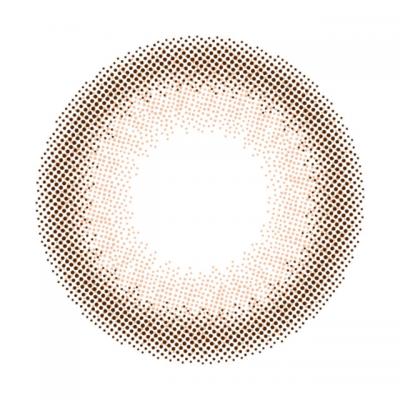 トリュフ レンズ画像