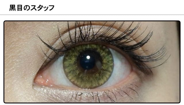 スタッフ1の装着画像