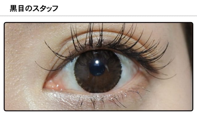 スタッフ0の装着画像